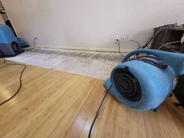 Water Damage Mitigation in West Bloomfield