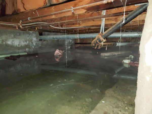 Crawlspace Water Restoration in West Bloomfield